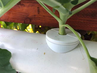 Plant holder with pot holder